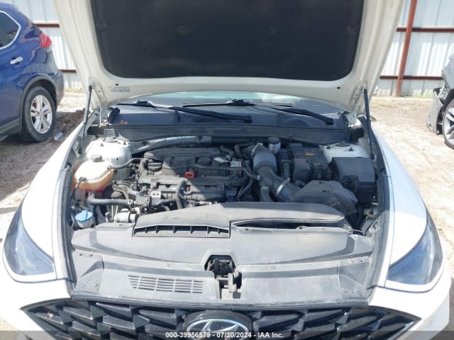 Photo 9 VIN: KMHL34J24MA156064 - HYUNDAI SONATA 