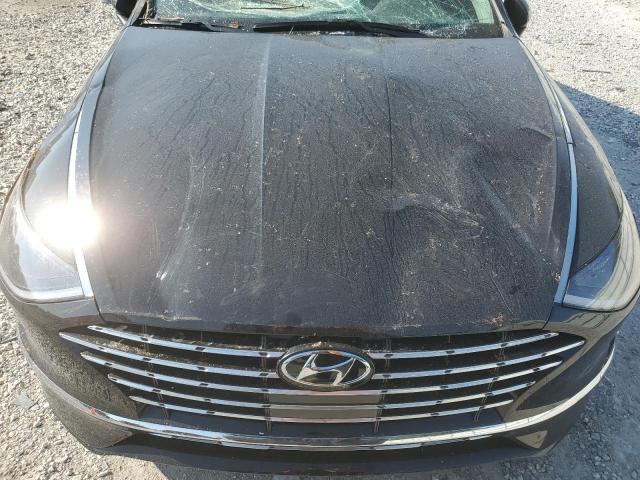 Photo 10 VIN: KMHL34JJ0PA078586 - HYUNDAI SONATA HYB 