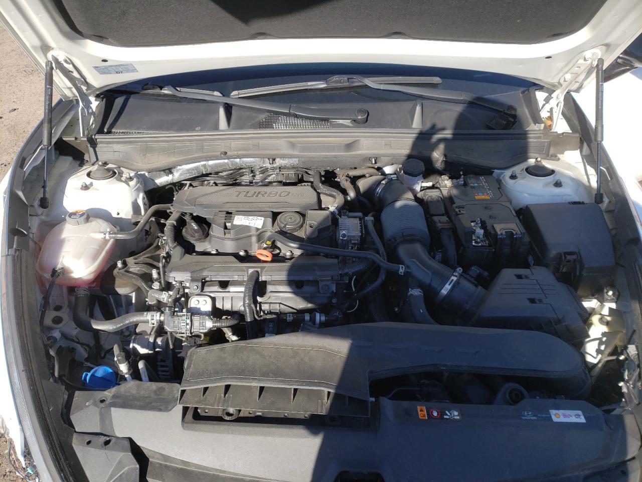 Photo 10 VIN: KMHL44J23NA212803 - HYUNDAI SONATA 