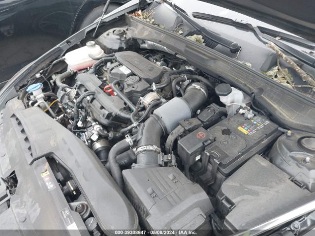 Photo 9 VIN: KMHL44J27PA259903 - HYUNDAI SONATA 