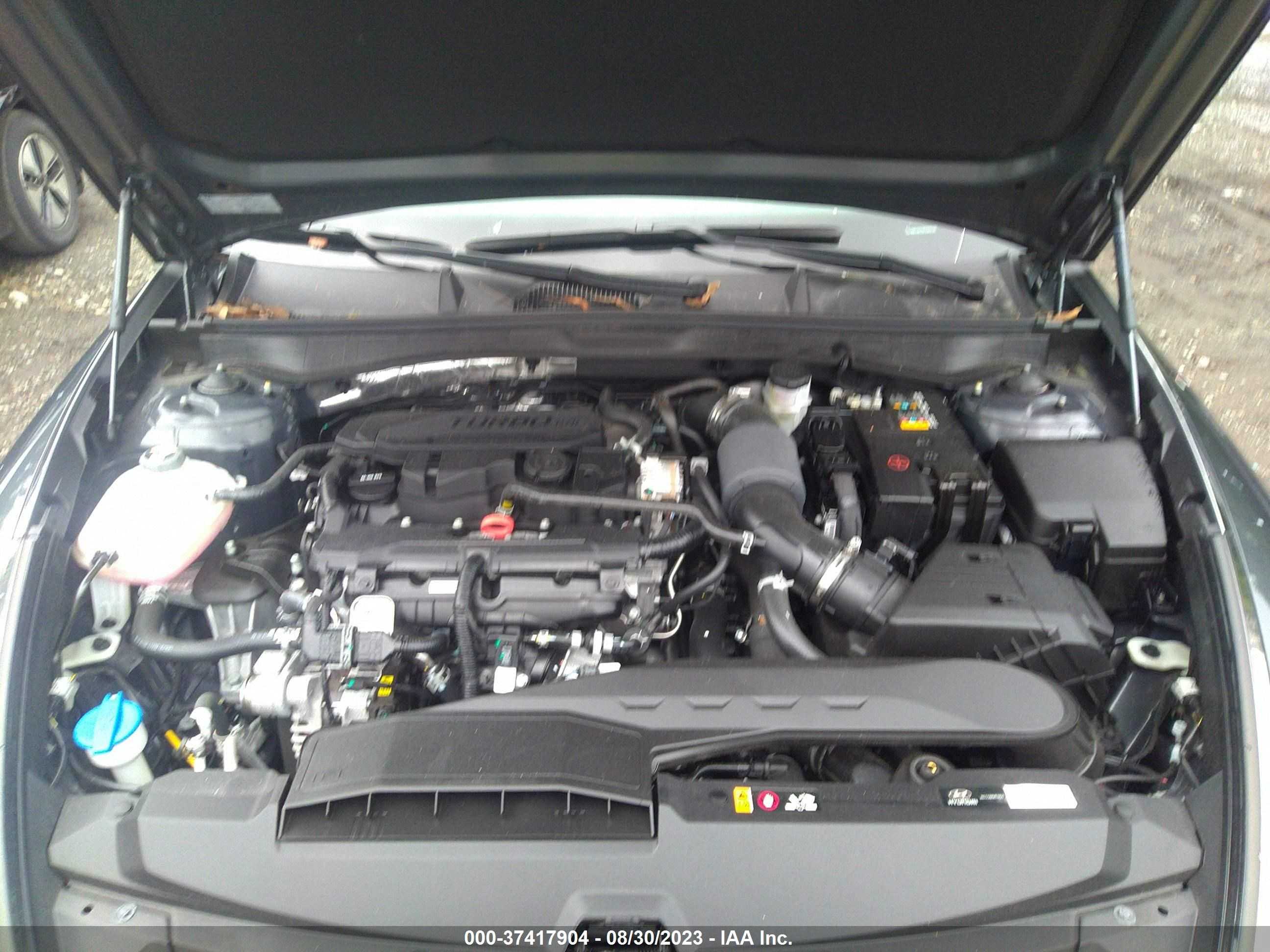 Photo 9 VIN: KMHL44J2XPA249138 - HYUNDAI SONATA 