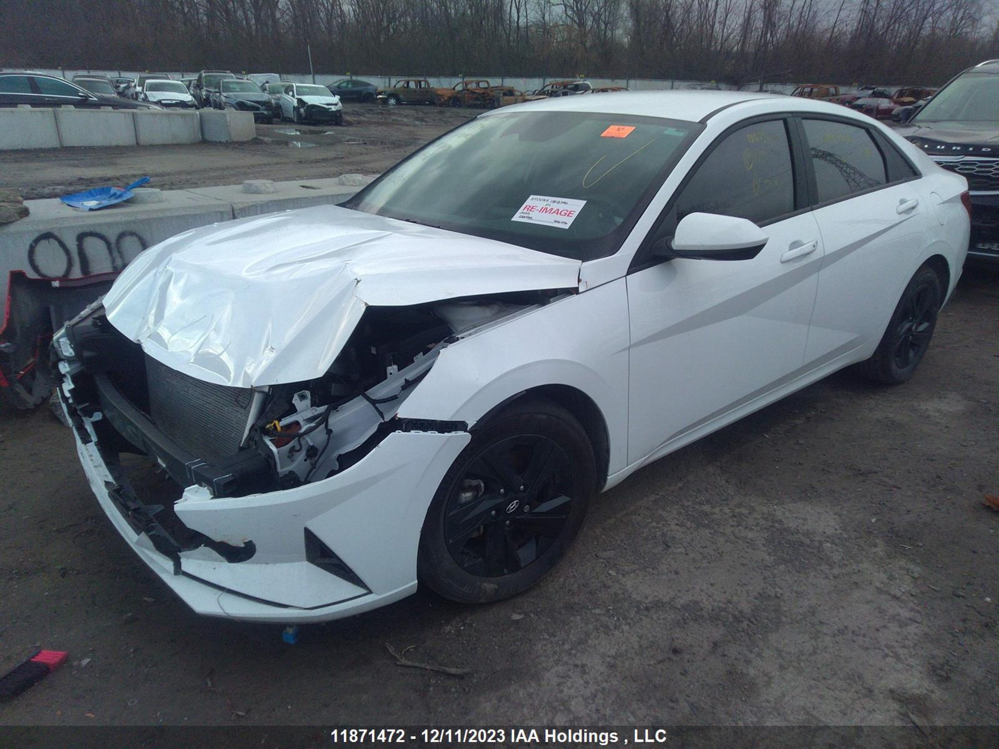 Photo 1 VIN: KMHLM4AG1PU456446 - HYUNDAI ELANTRA 