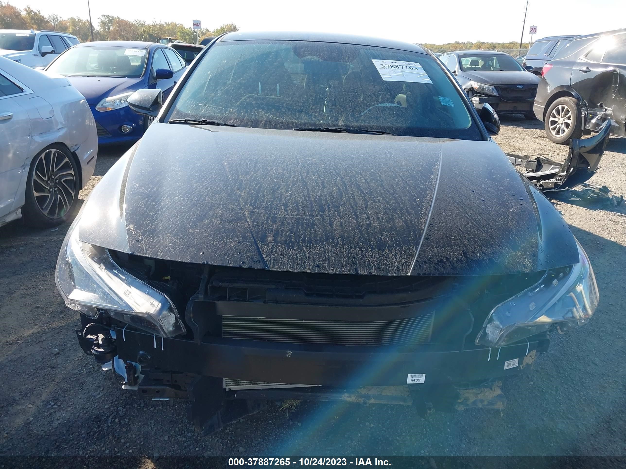 Photo 11 VIN: KMHLM4AG6PU392405 - HYUNDAI ELANTRA 