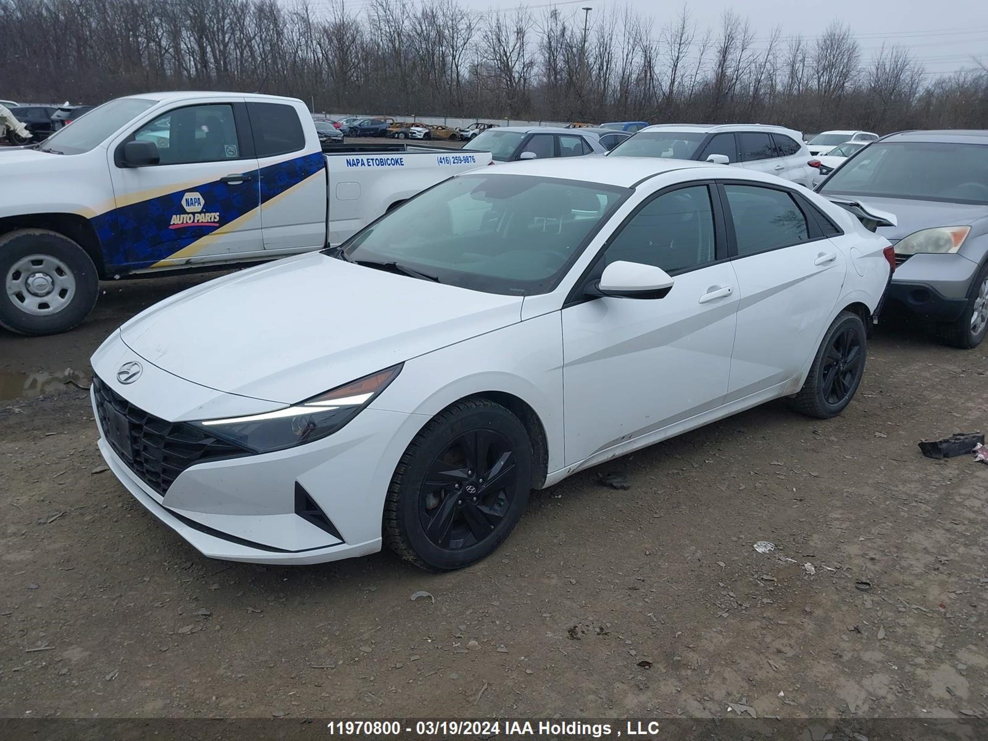 Photo 1 VIN: KMHLM4AG8MU172162 - HYUNDAI ELANTRA 