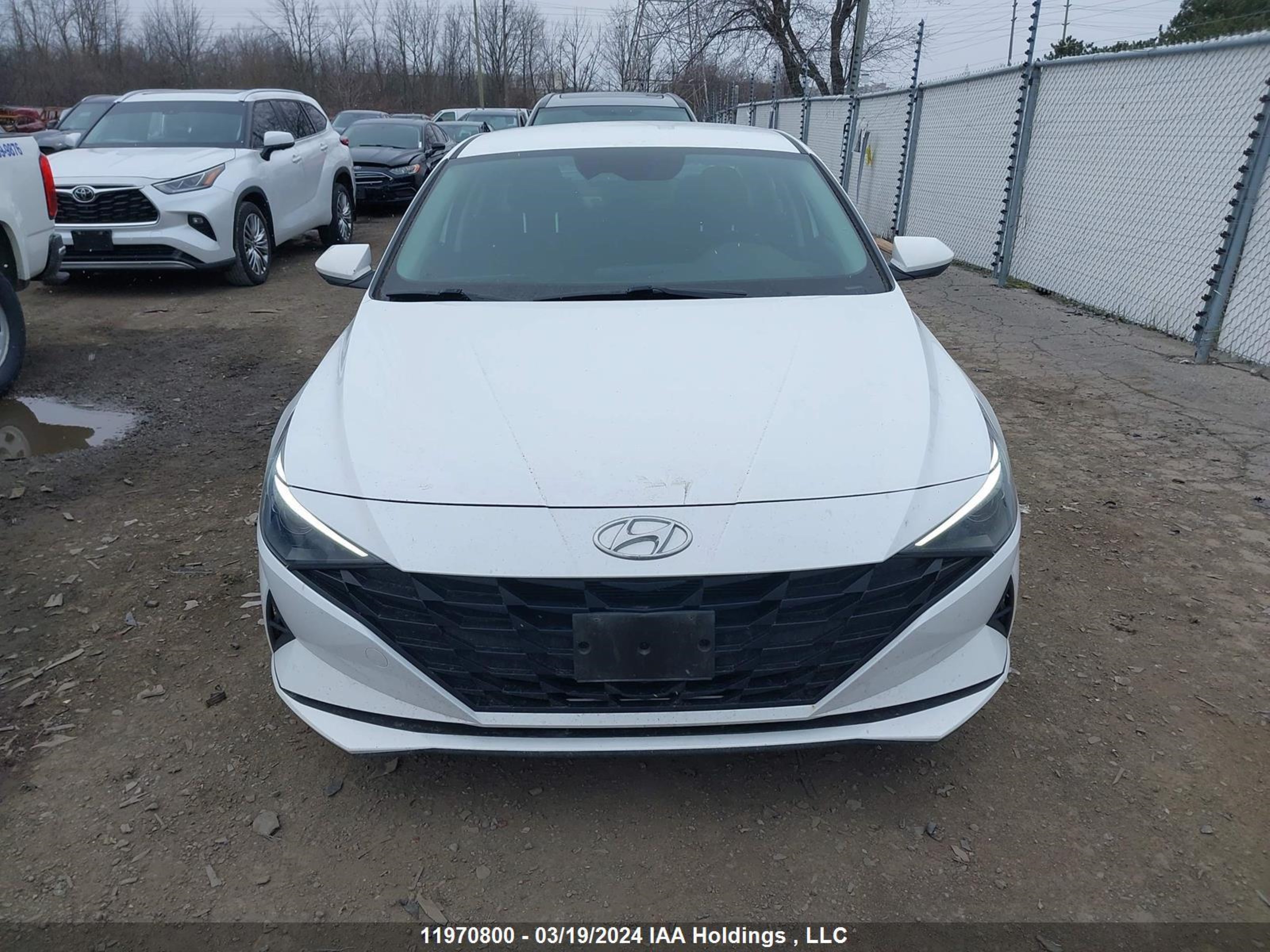 Photo 11 VIN: KMHLM4AG8MU172162 - HYUNDAI ELANTRA 