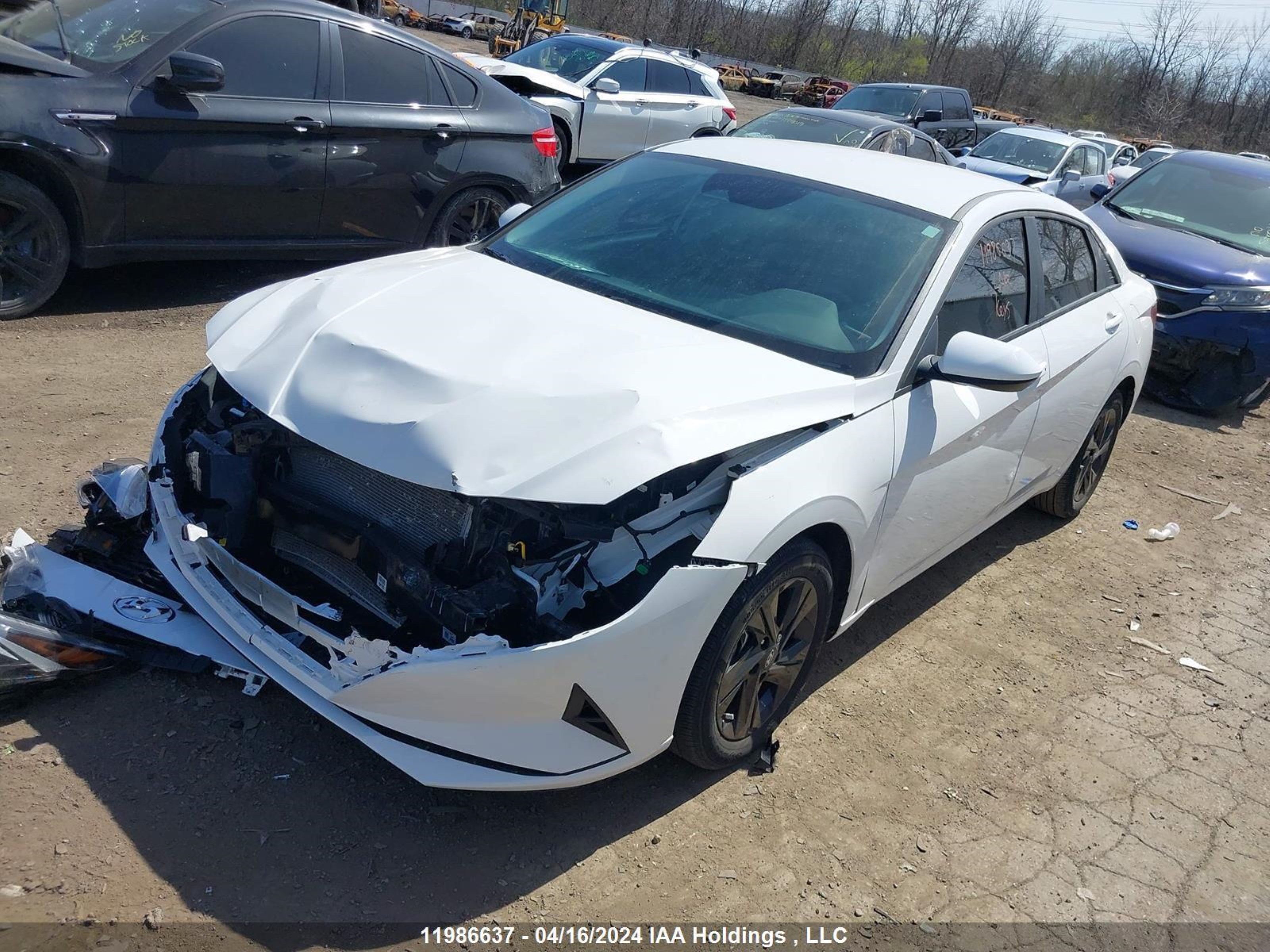 Photo 1 VIN: KMHLM4AGXPU531659 - HYUNDAI ELANTRA 