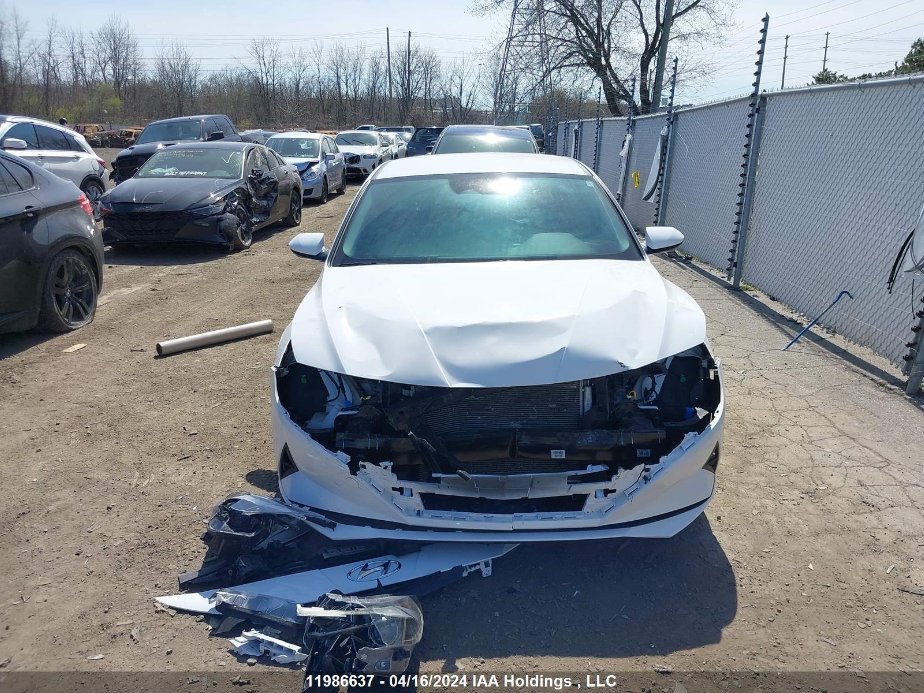 Photo 12 VIN: KMHLM4AGXPU531659 - HYUNDAI ELANTRA 