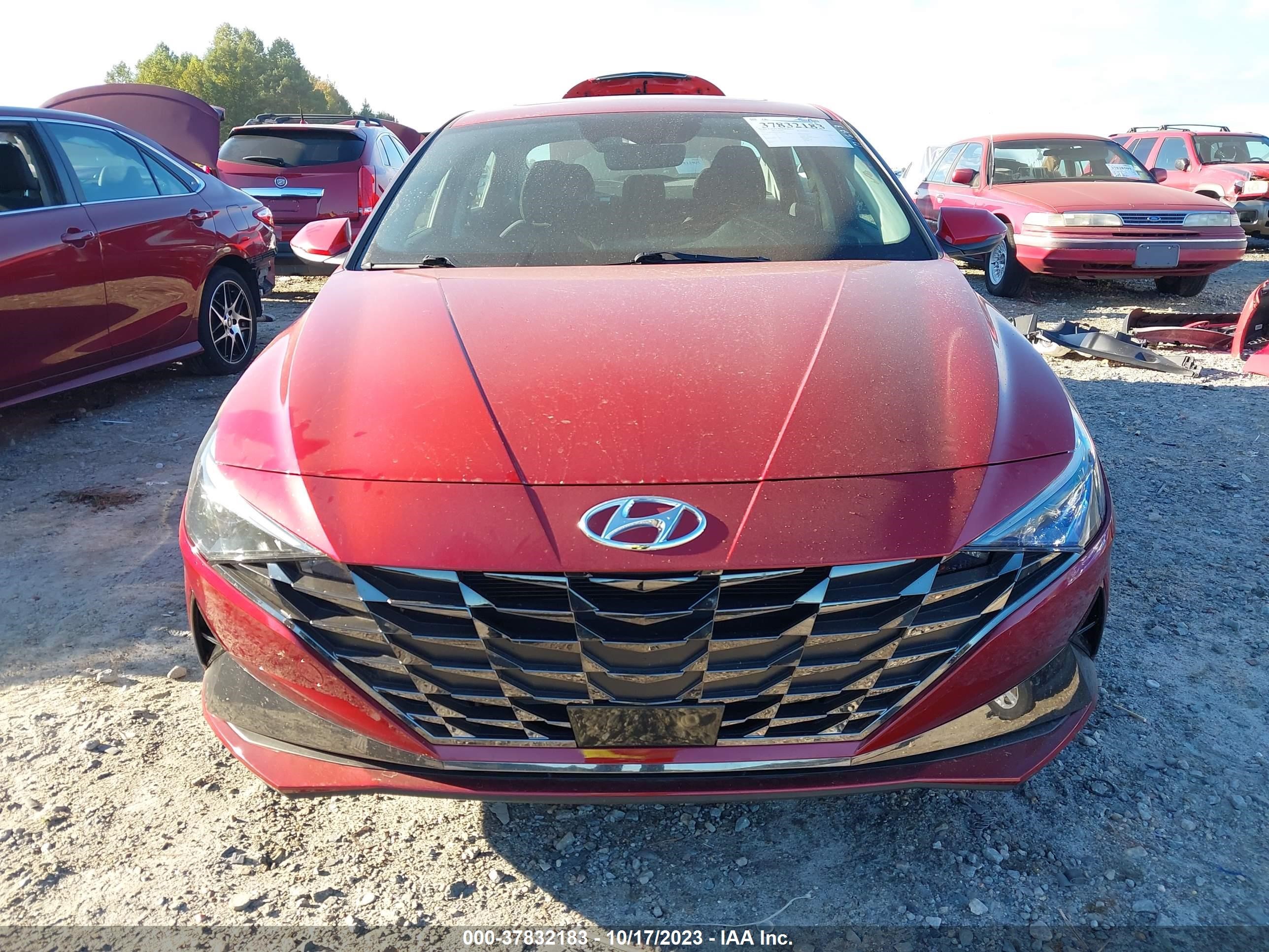 Photo 11 VIN: KMHLN4AG3MU179419 - HYUNDAI ELANTRA 