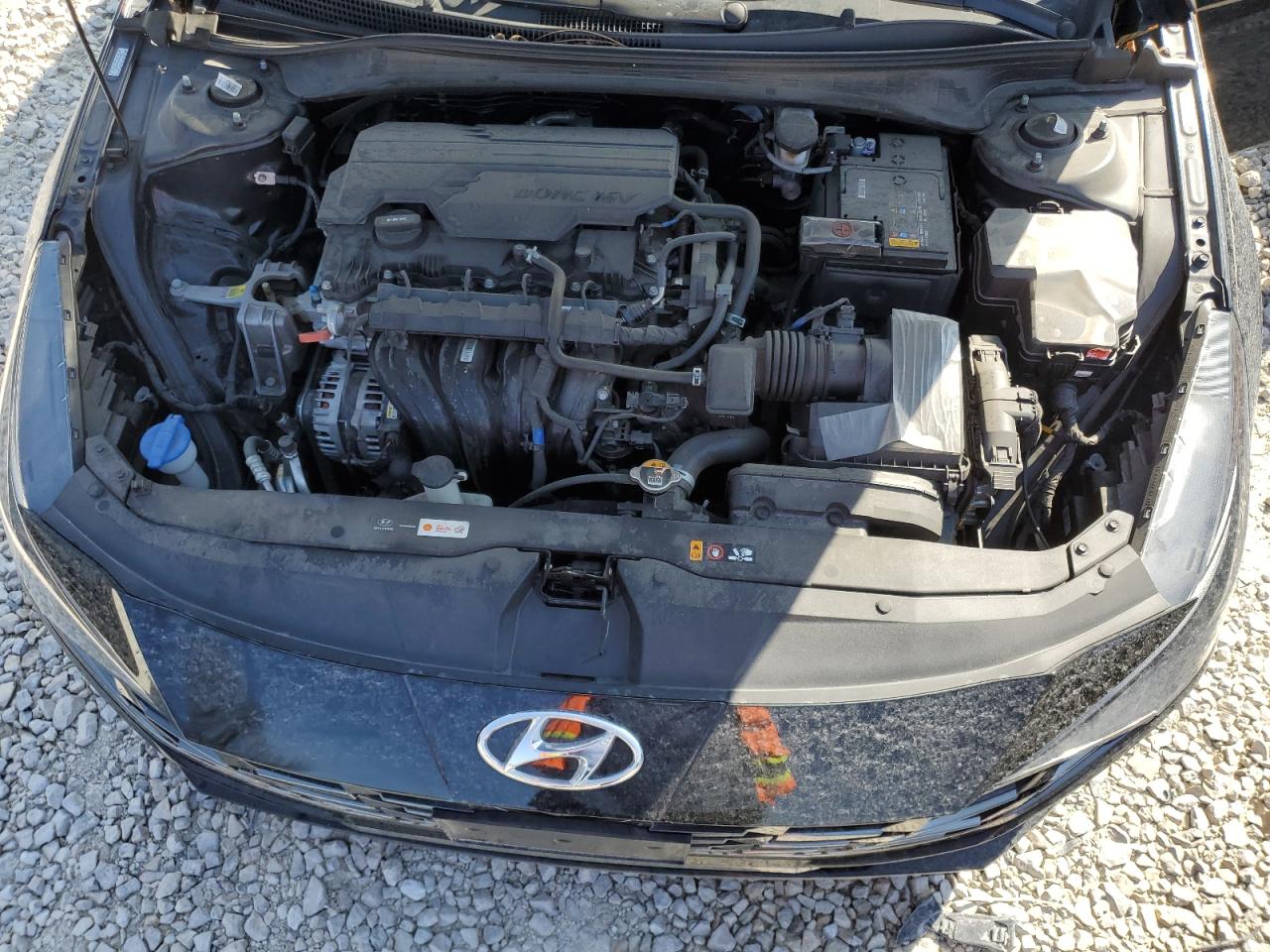 Photo 10 VIN: KMHLN4AG4MU098221 - HYUNDAI ELANTRA 