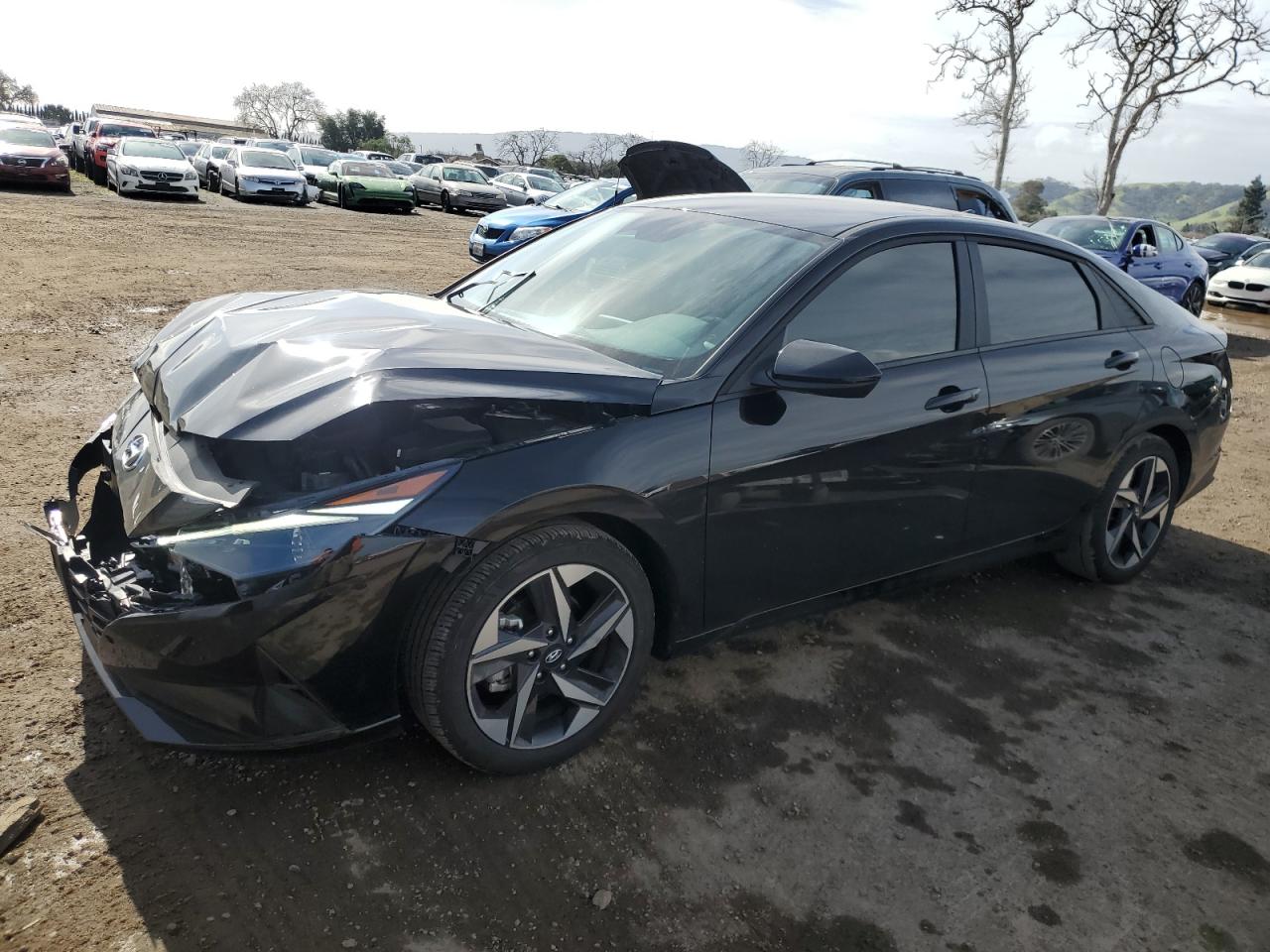 Photo 0 VIN: KMHLS4AG1PU517851 - HYUNDAI ELANTRA 