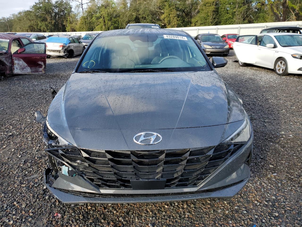 Photo 4 VIN: KMHLS4AG6PU611644 - HYUNDAI ELANTRA 