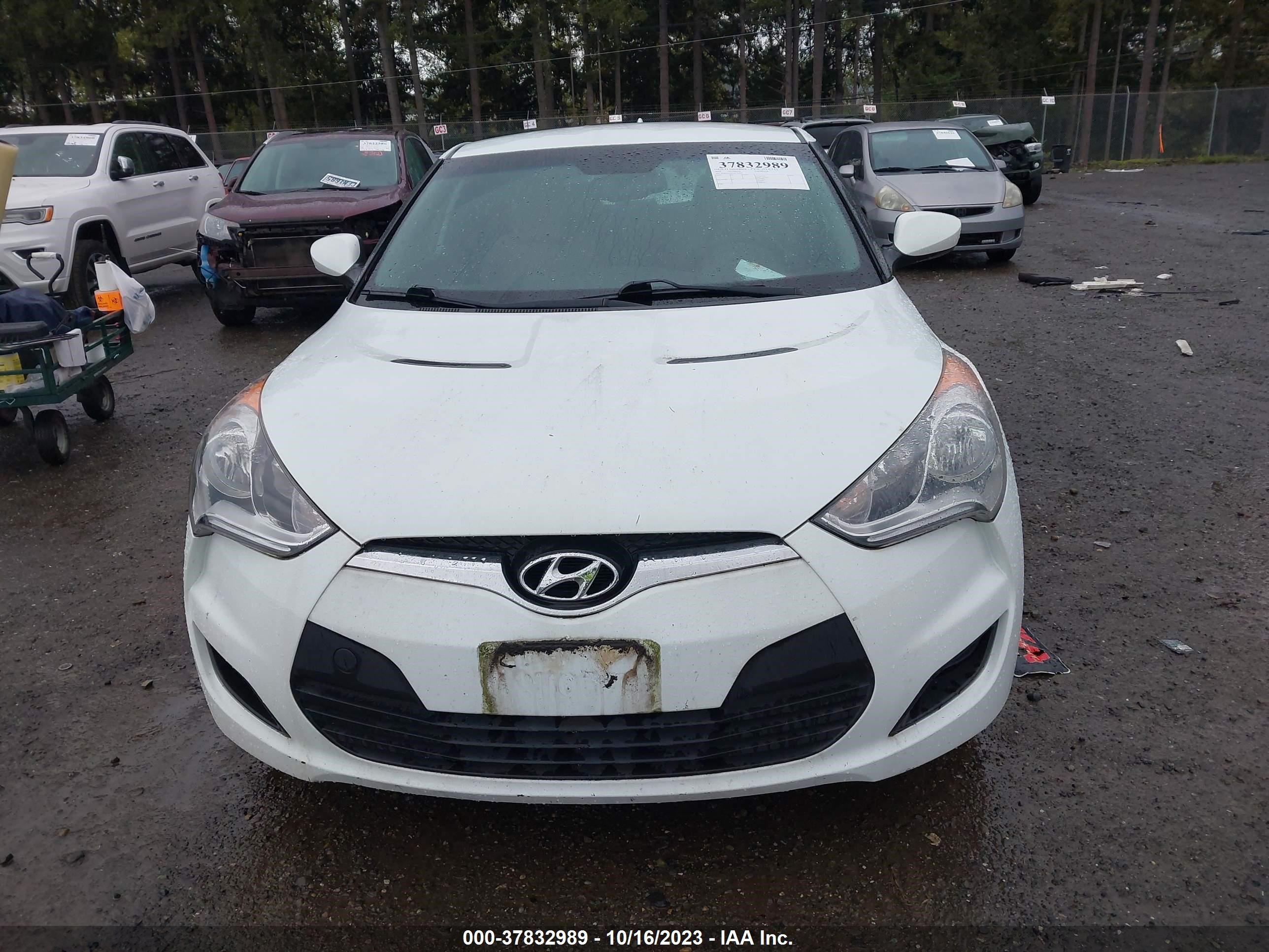 Photo 11 VIN: KMHTC6AD3DU102959 - HYUNDAI VELOSTER 