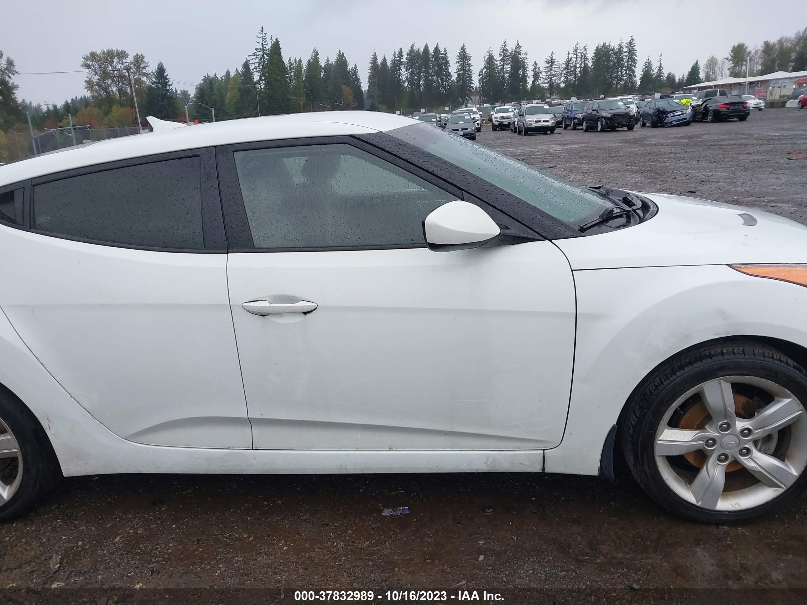 Photo 12 VIN: KMHTC6AD3DU102959 - HYUNDAI VELOSTER 