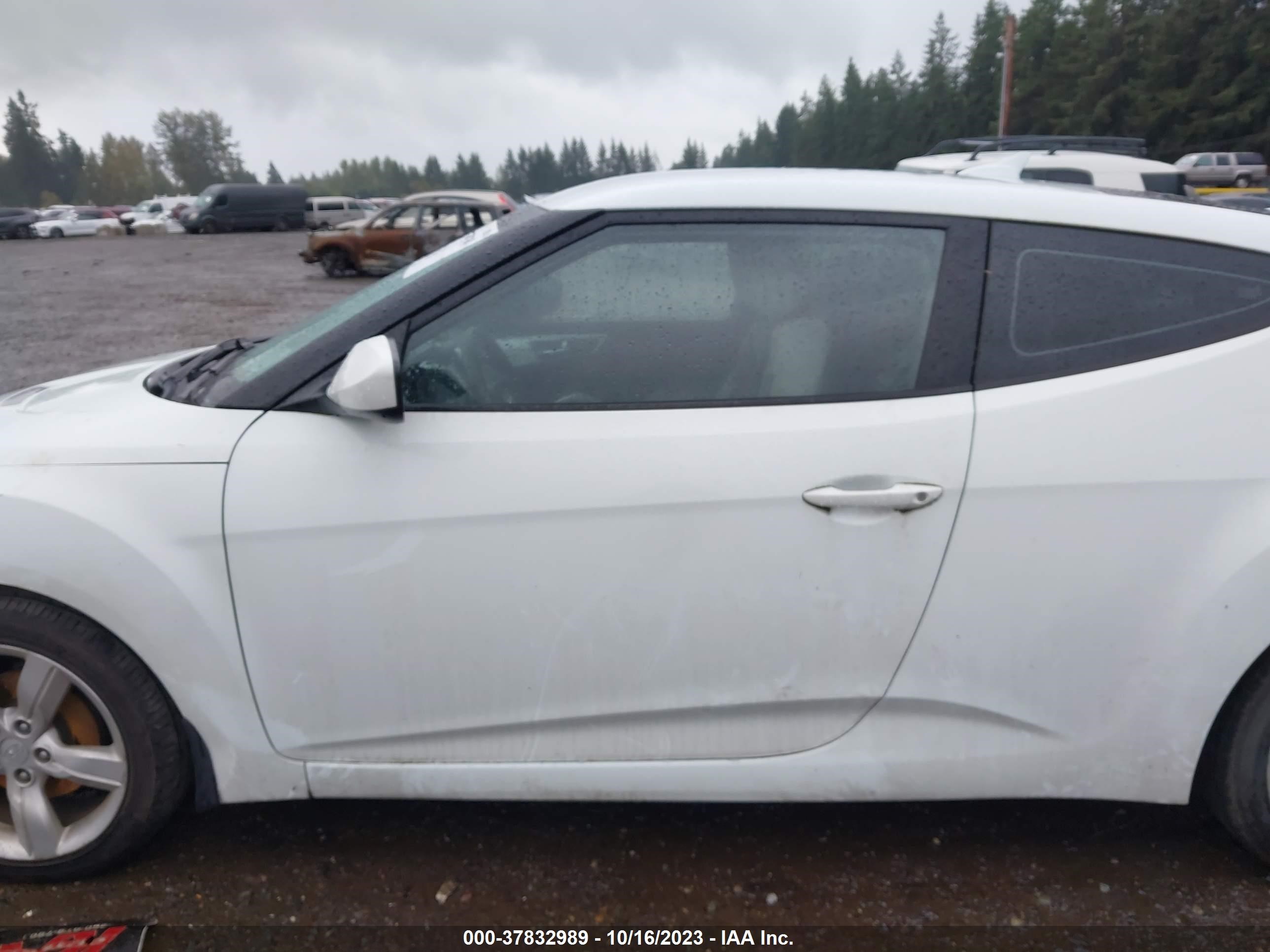 Photo 13 VIN: KMHTC6AD3DU102959 - HYUNDAI VELOSTER 