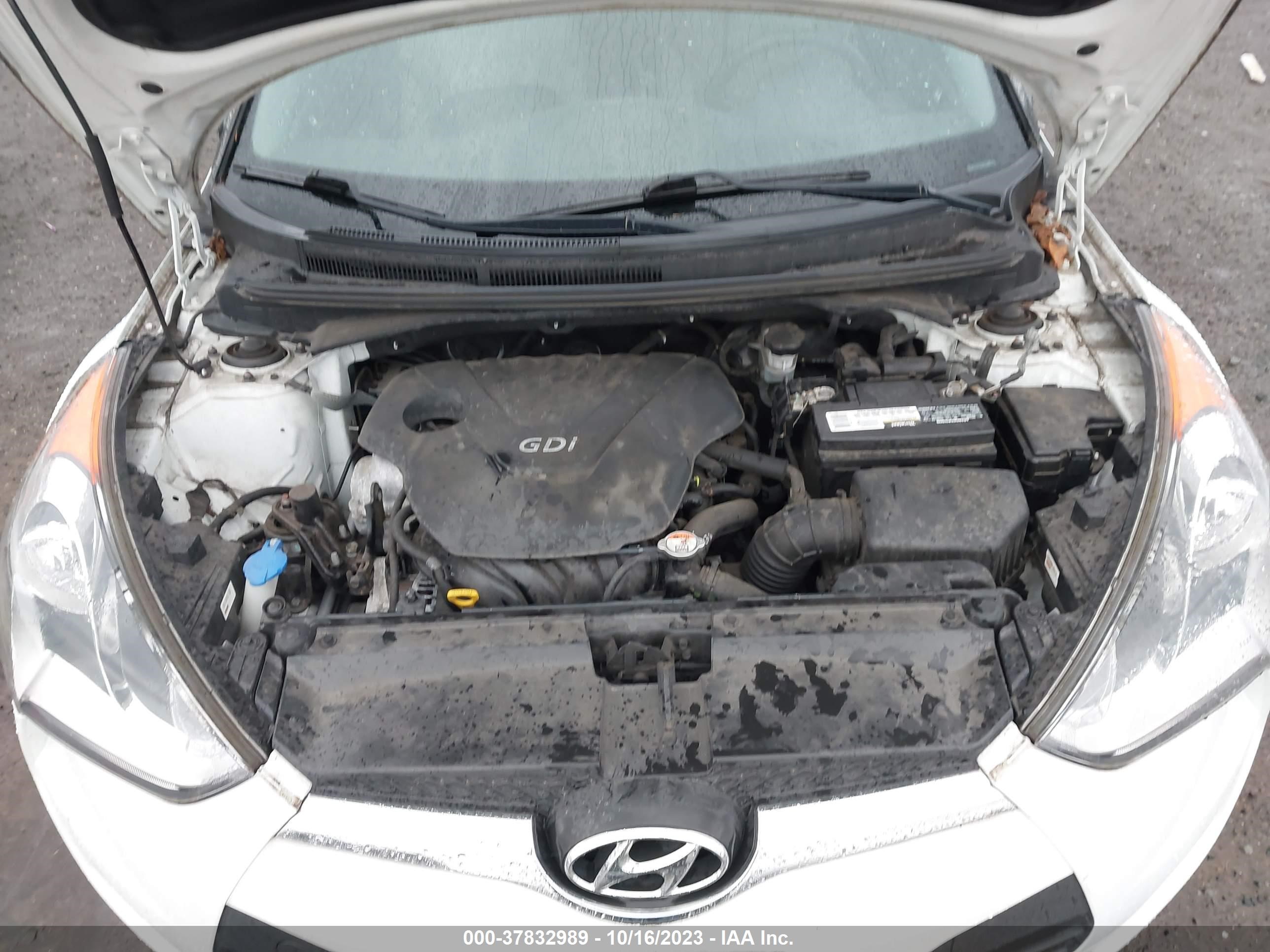 Photo 9 VIN: KMHTC6AD3DU102959 - HYUNDAI VELOSTER 