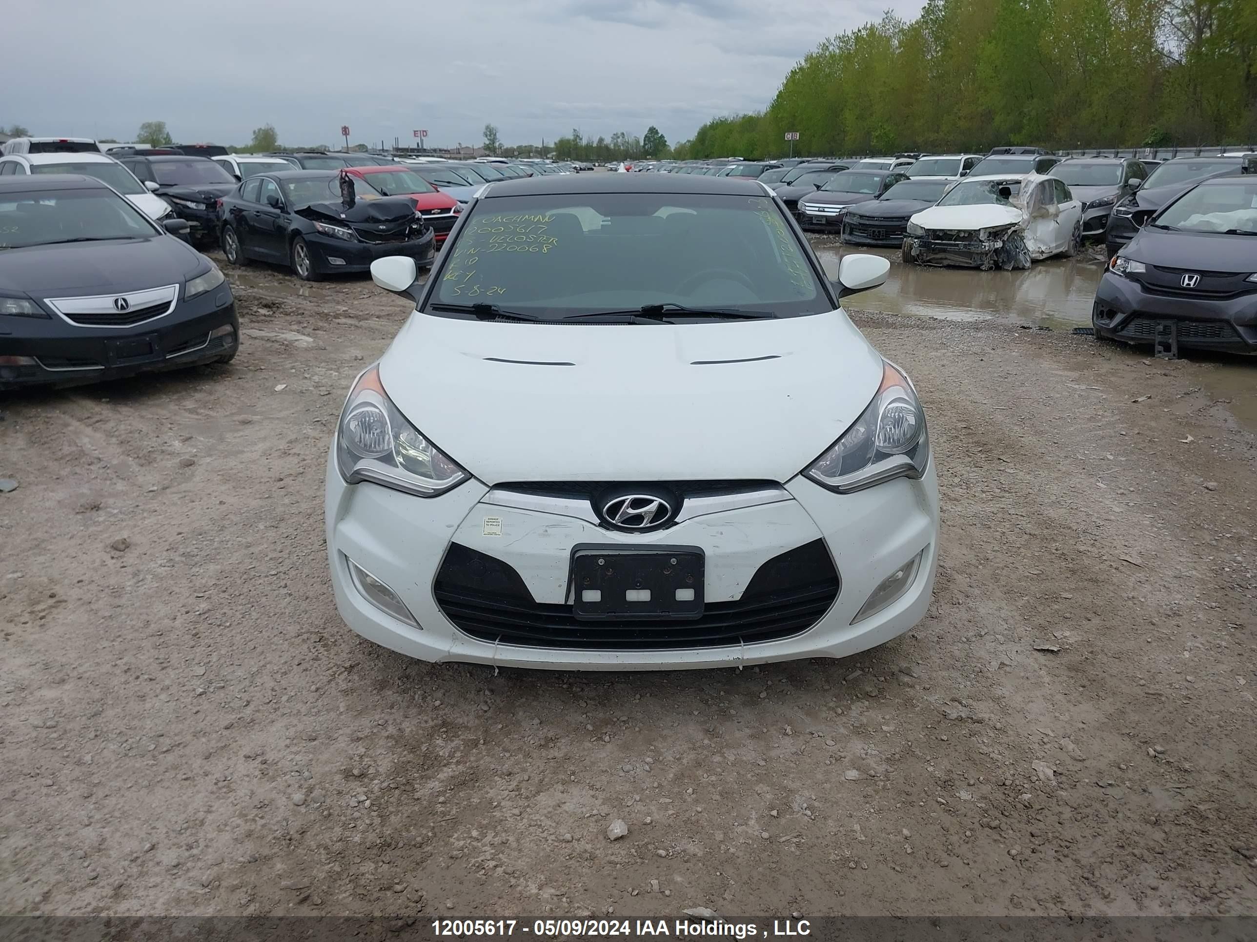 Photo 12 VIN: KMHTC6AD6FU220068 - HYUNDAI VELOSTER 