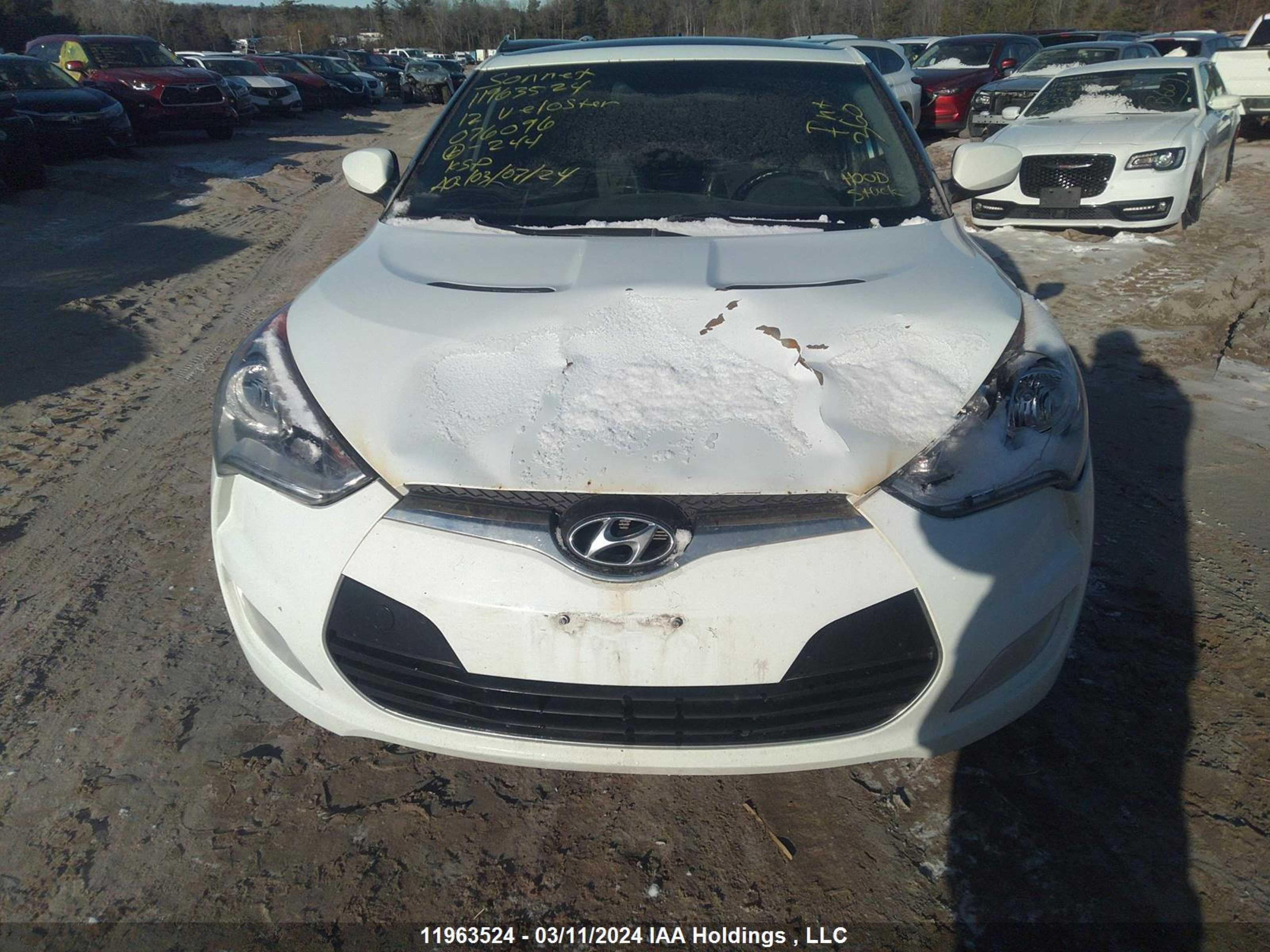 Photo 11 VIN: KMHTC6AD8CU076096 - HYUNDAI VELOSTER 