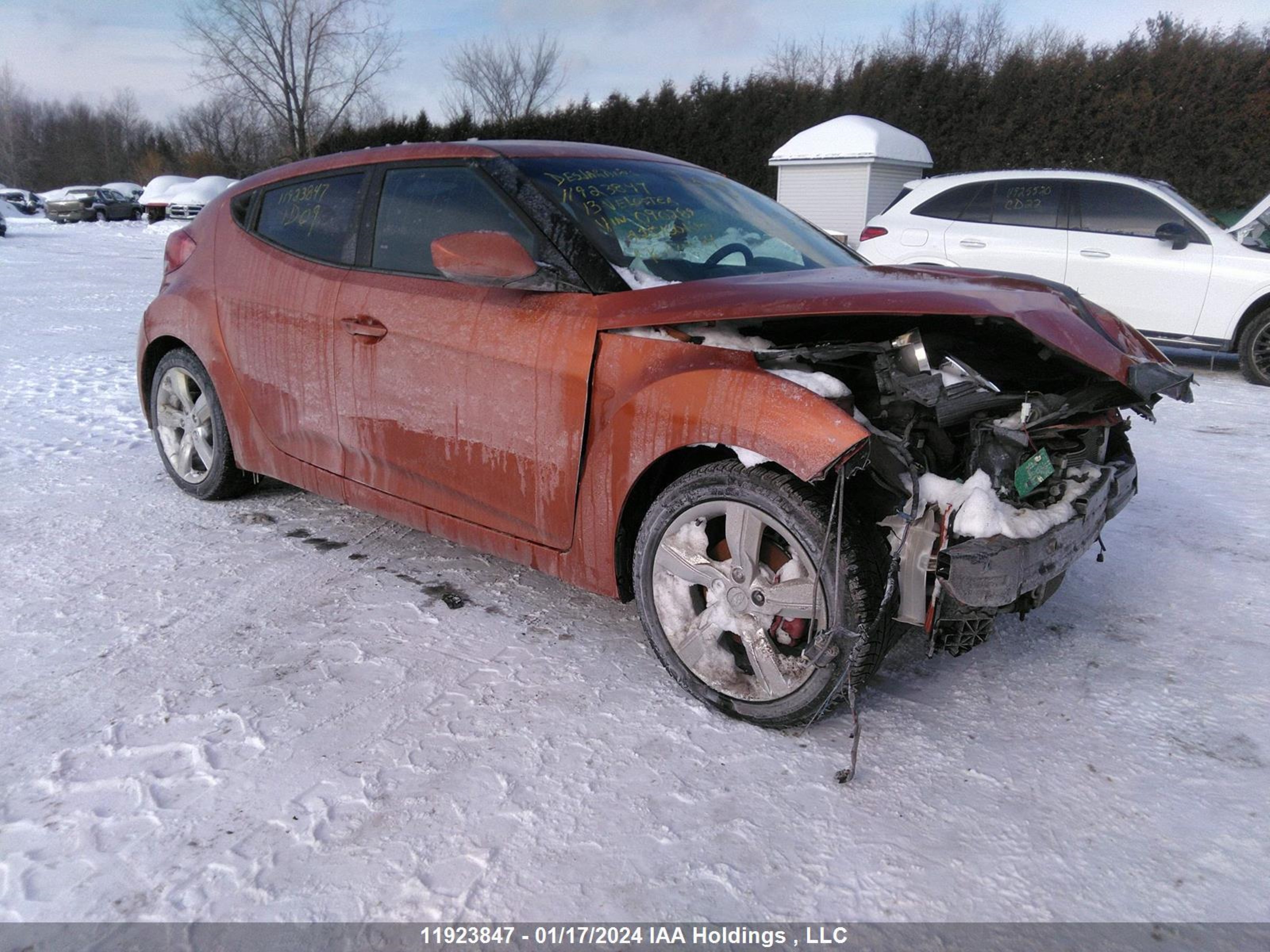 Photo 0 VIN: KMHTC6ADXDU090289 - HYUNDAI VELOSTER 