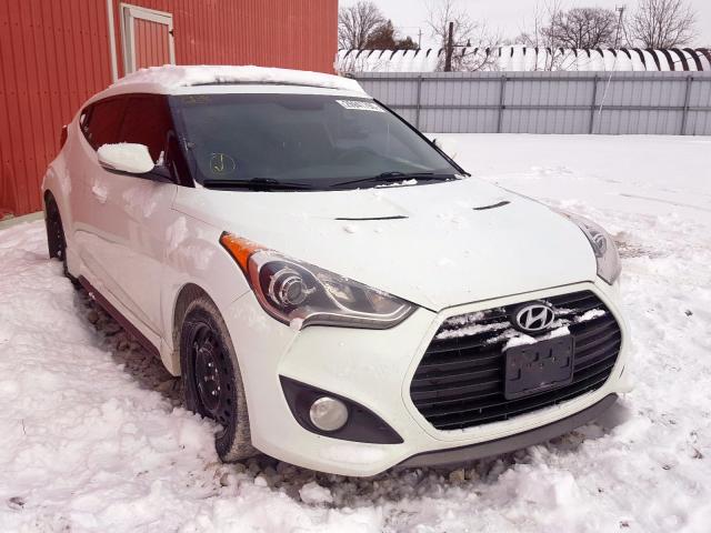 Photo 0 VIN: KMHTC6AE0DU151013 - HYUNDAI VELOSTER T 