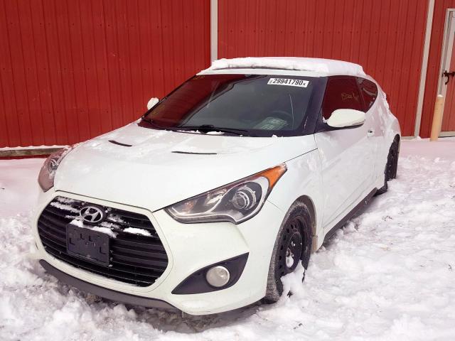 Photo 1 VIN: KMHTC6AE0DU151013 - HYUNDAI VELOSTER T 