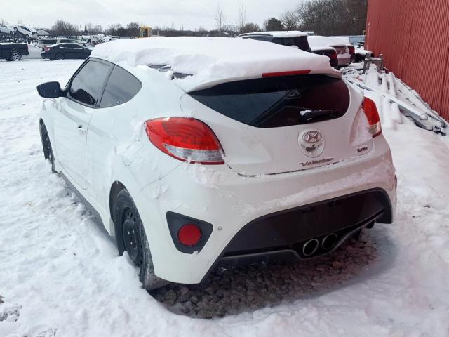 Photo 2 VIN: KMHTC6AE0DU151013 - HYUNDAI VELOSTER T 