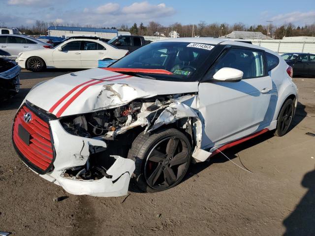 Photo 0 VIN: KMHTC6AE0DU175683 - HYUNDAI VELOSTER 