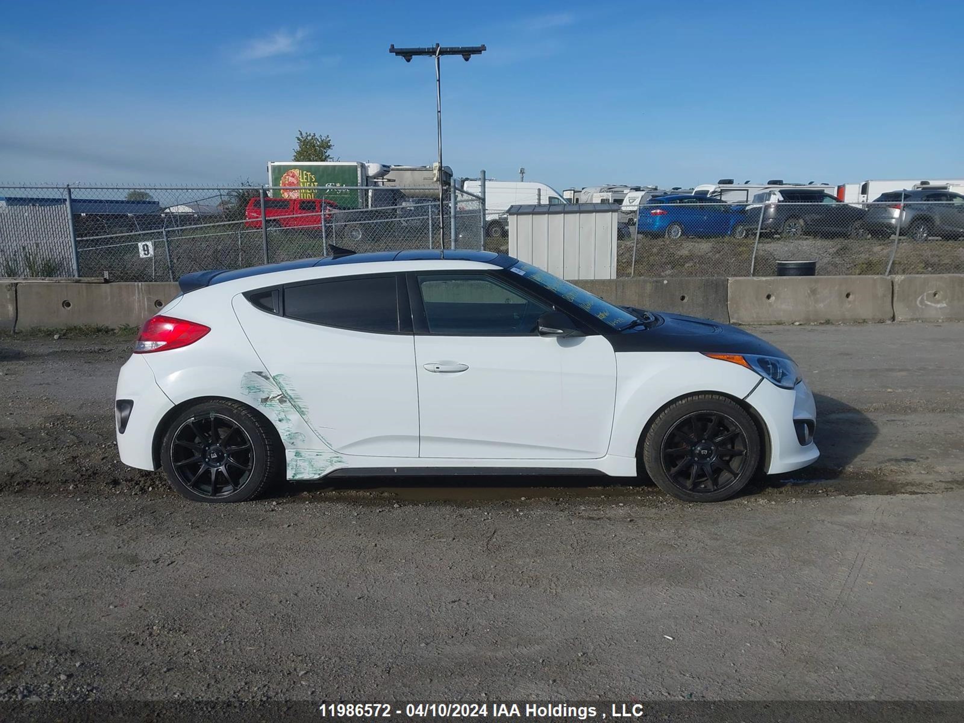 Photo 12 VIN: KMHTC6AE0FU243595 - HYUNDAI VELOSTER 