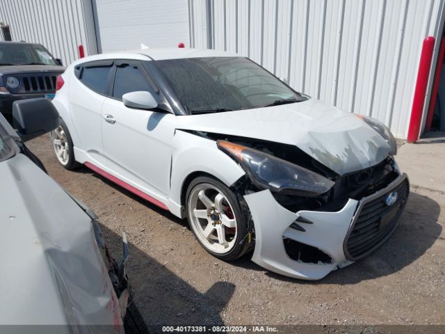 Photo 0 VIN: KMHTC6AE0GU303361 - HYUNDAI VELOSTER 