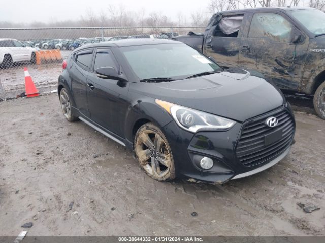 Photo 0 VIN: KMHTC6AE1DU115556 - HYUNDAI VELOSTER 