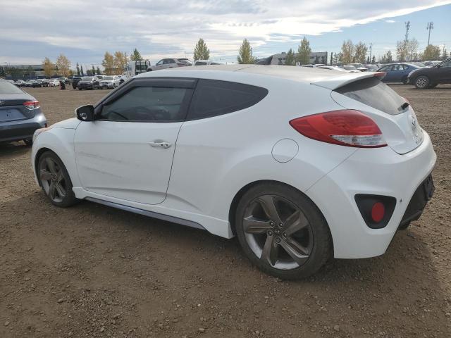 Photo 1 VIN: KMHTC6AE1EU196690 - HYUNDAI VELOSTER T 