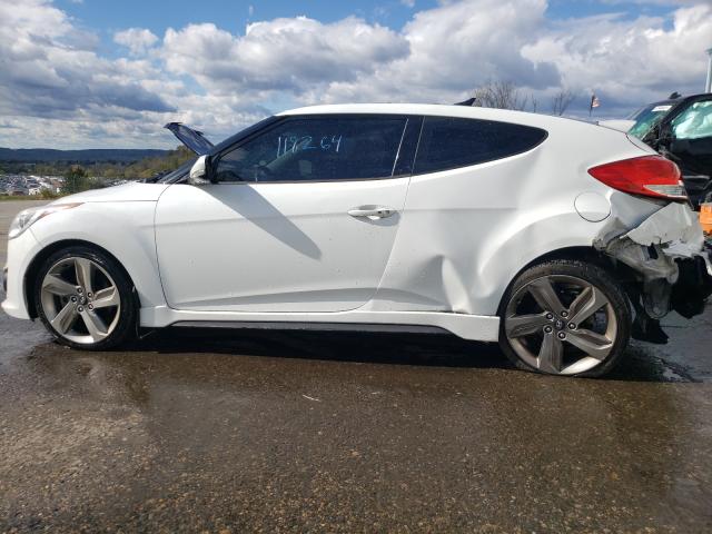 Photo 9 VIN: KMHTC6AE1EU204254 - HYUNDAI VELOSTER T 