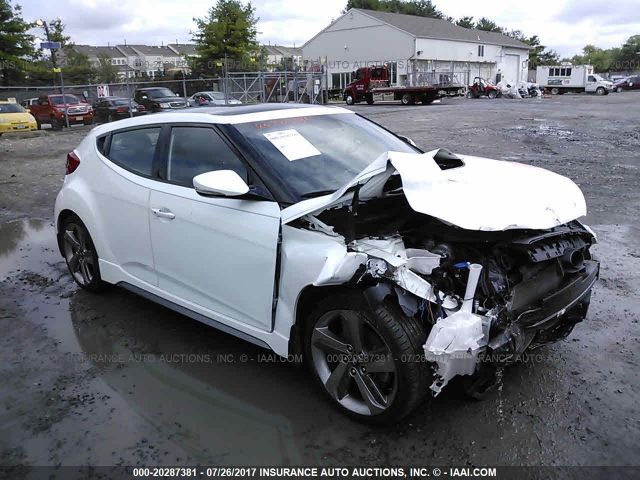 Photo 0 VIN: KMHTC6AE2DU115372 - HYUNDAI VELOSTER 