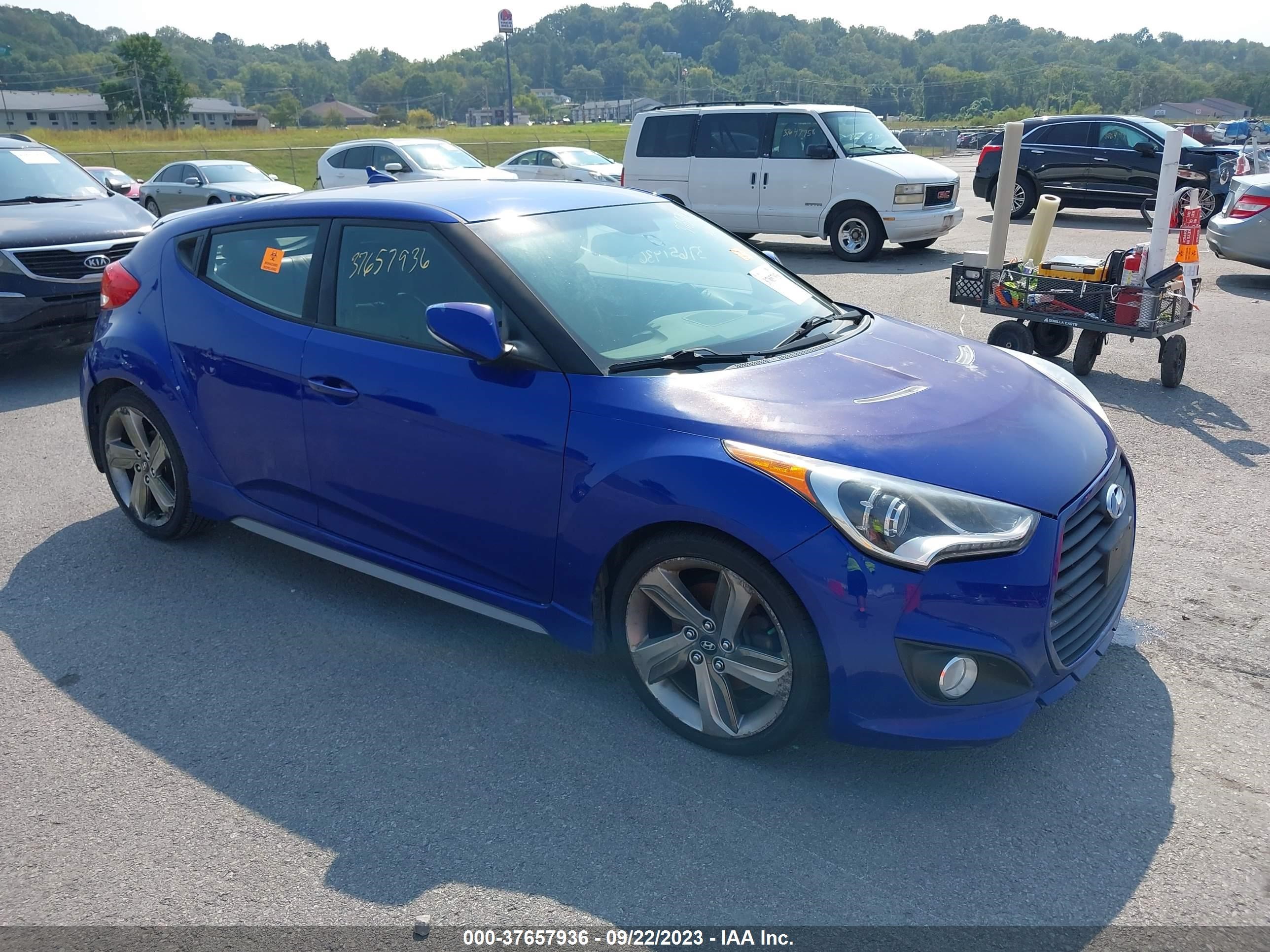 Photo 0 VIN: KMHTC6AE2DU172428 - HYUNDAI VELOSTER 