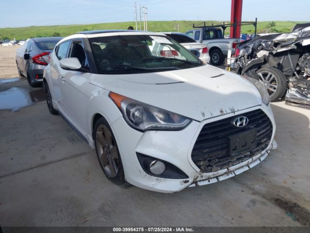 Photo 0 VIN: KMHTC6AE2FU225048 - HYUNDAI VELOSTER 