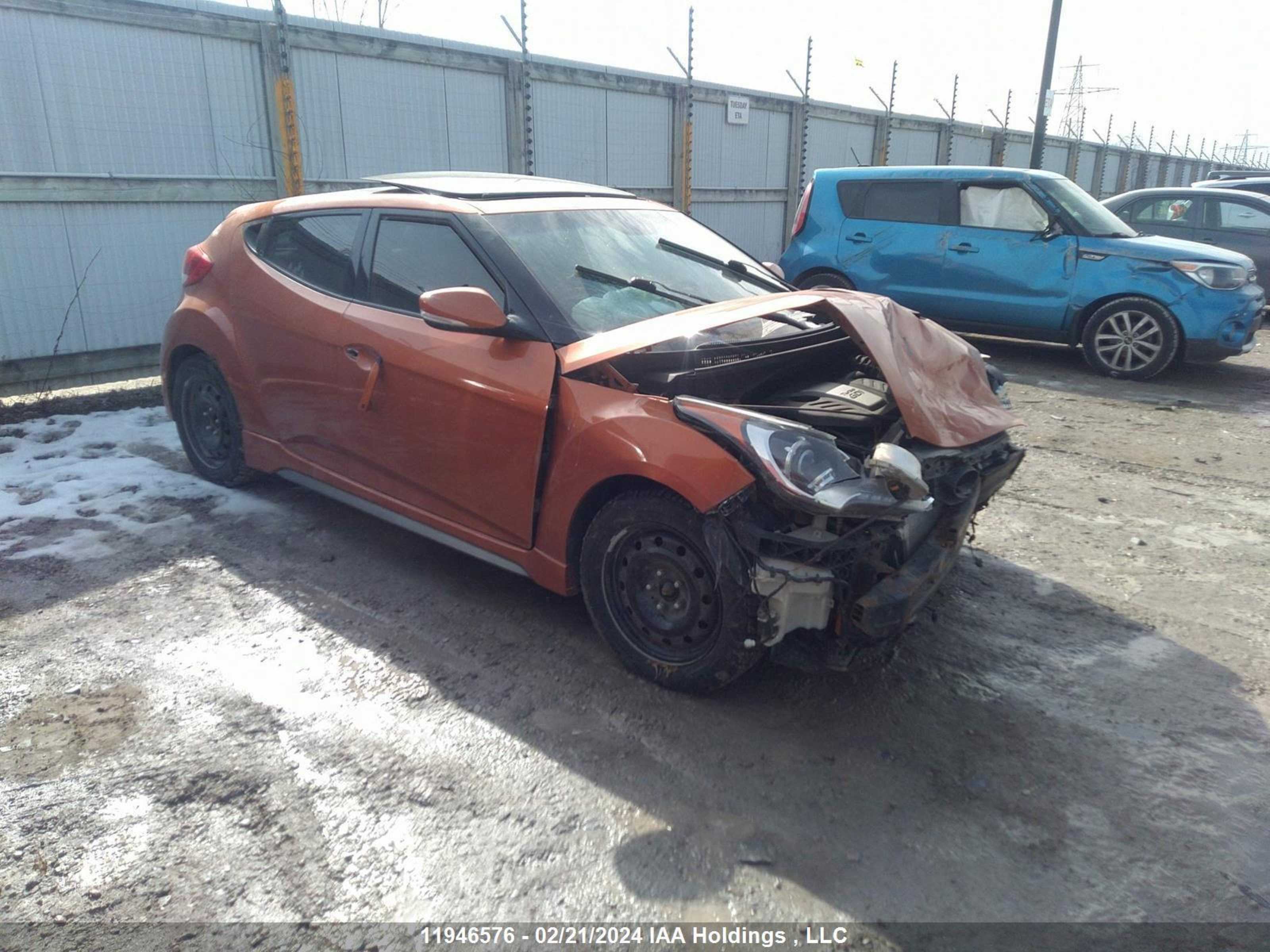 Photo 0 VIN: KMHTC6AE3DU131614 - HYUNDAI VELOSTER 