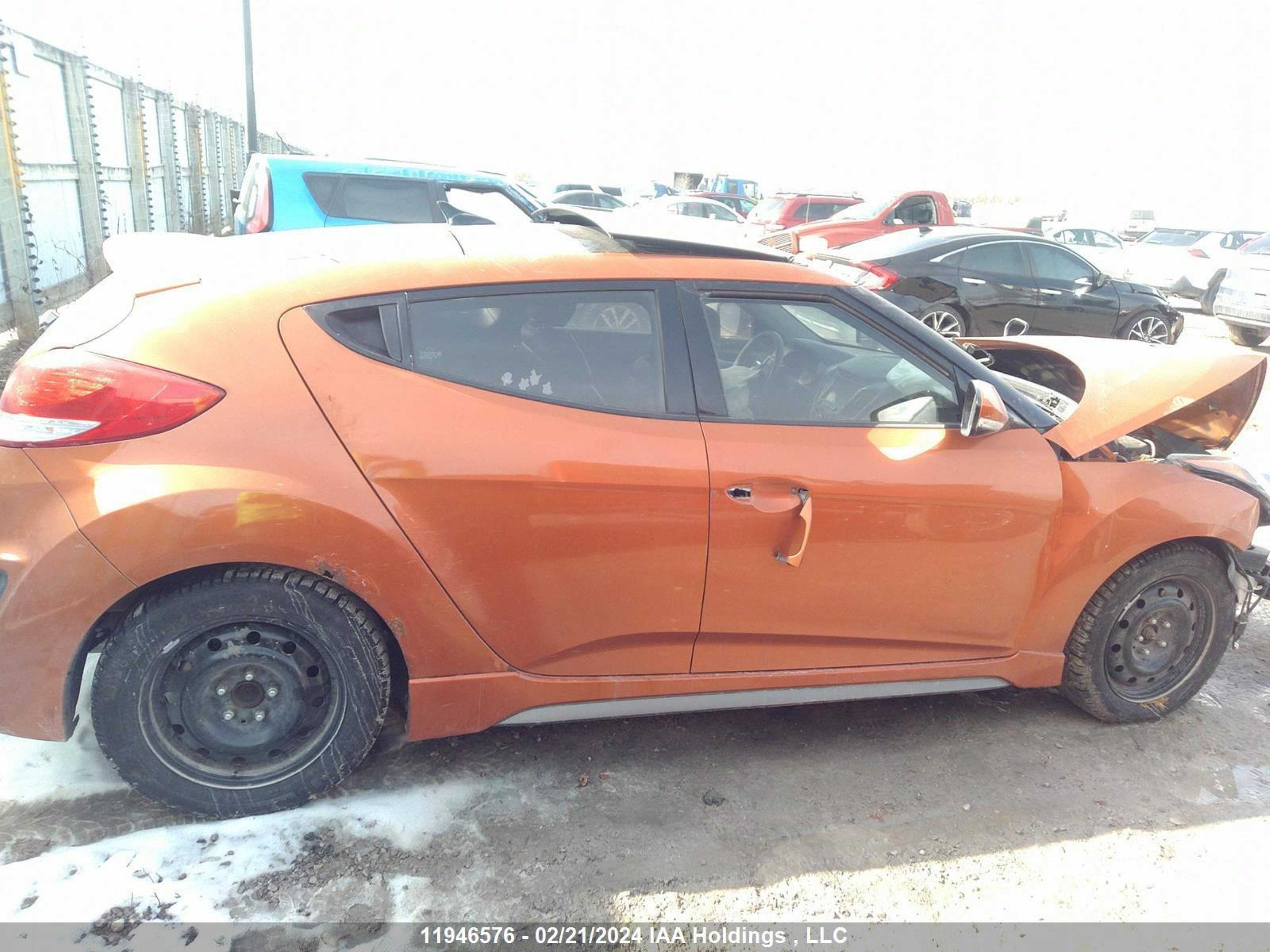 Photo 12 VIN: KMHTC6AE3DU131614 - HYUNDAI VELOSTER 