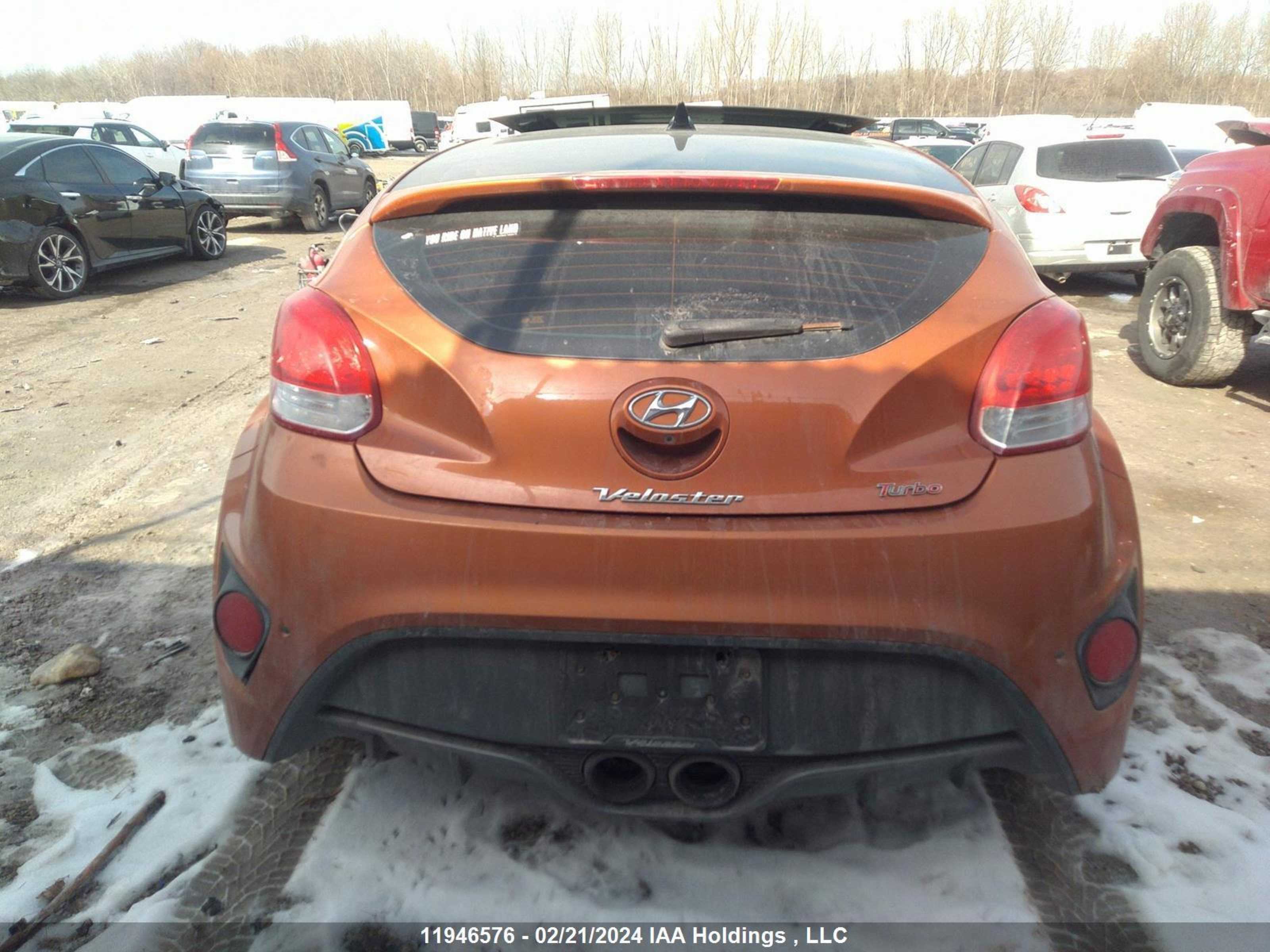 Photo 15 VIN: KMHTC6AE3DU131614 - HYUNDAI VELOSTER 