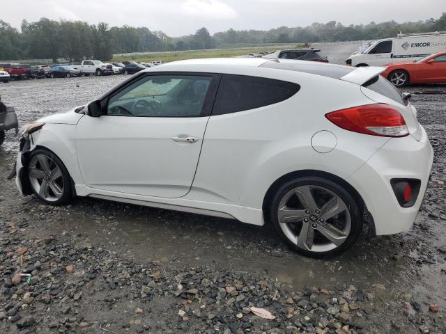 Photo 1 VIN: KMHTC6AE3DU177864 - HYUNDAI VELOSTER T 