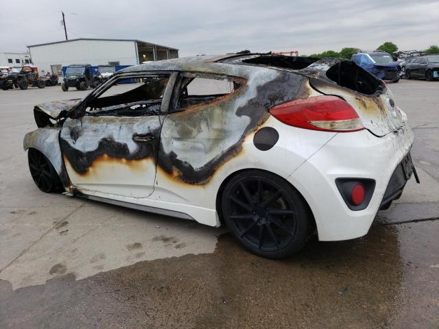 Photo 1 VIN: KMHTC6AE3EU184637 - HYUNDAI VELOSTER 