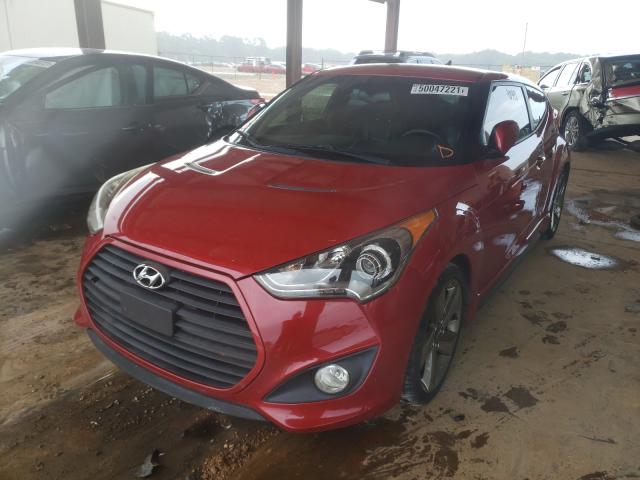 Photo 1 VIN: KMHTC6AE5DU118802 - HYUNDAI VELOSTER T 