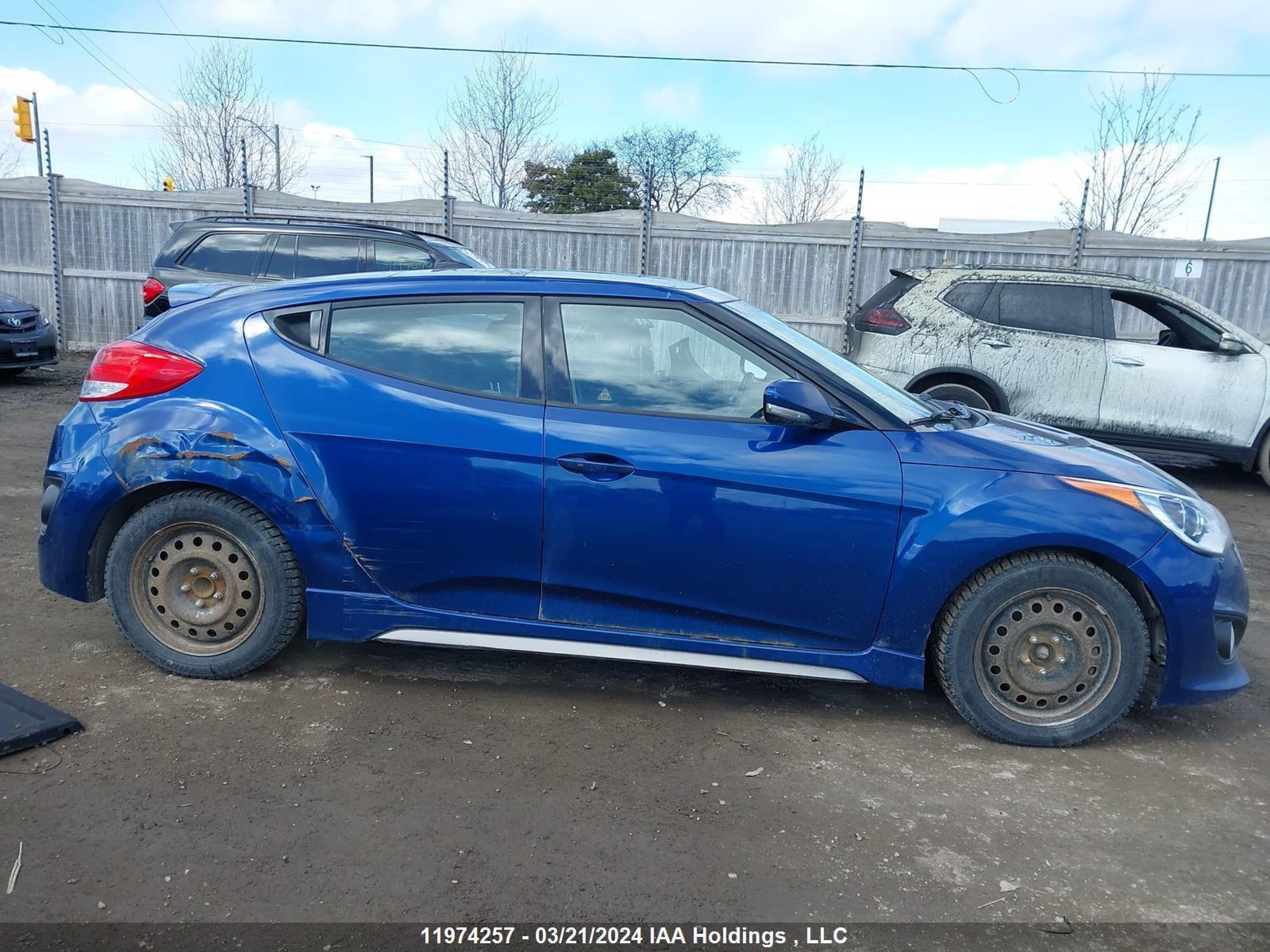 Photo 12 VIN: KMHTC6AE5GU252097 - HYUNDAI VELOSTER 