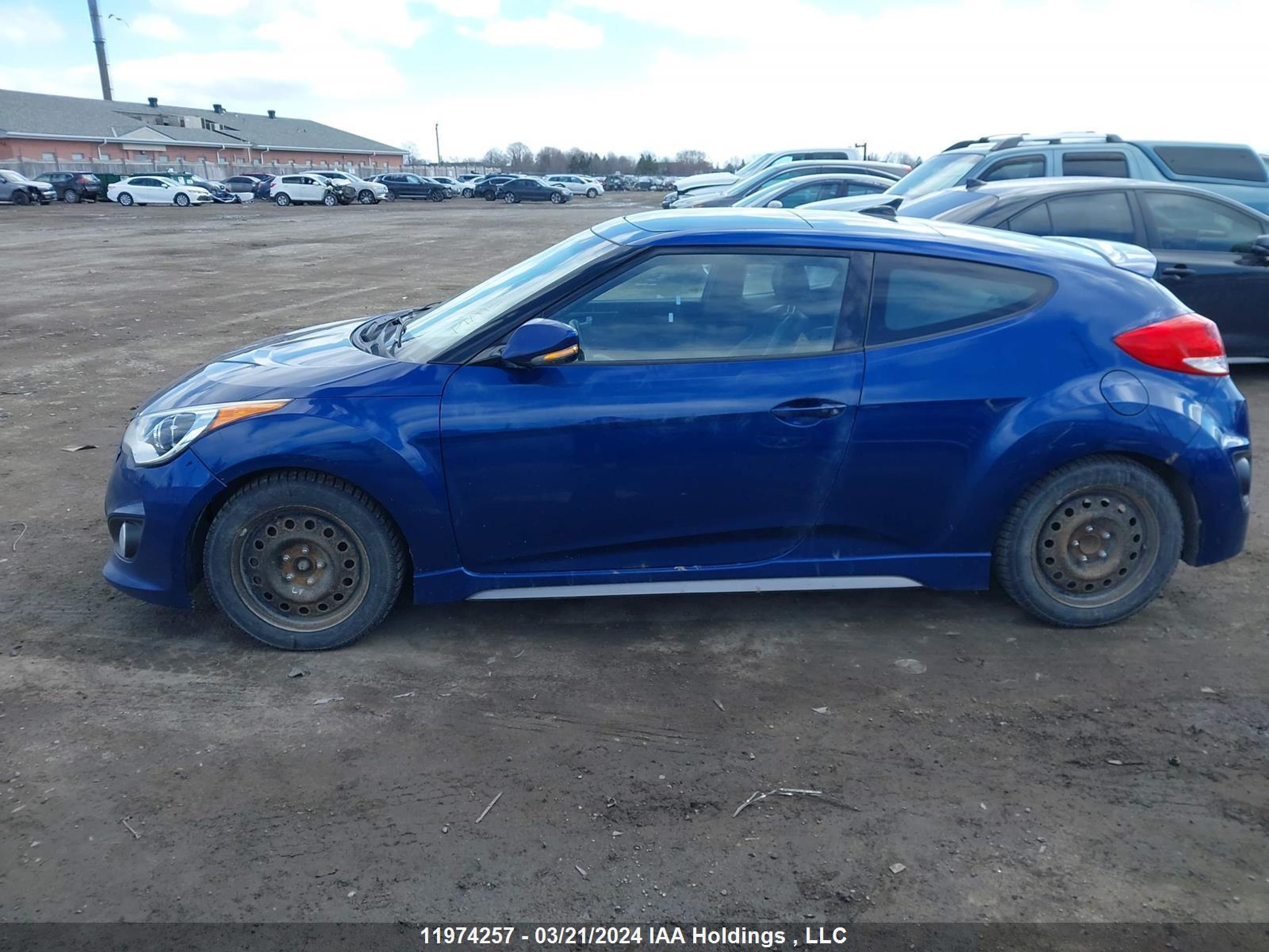 Photo 13 VIN: KMHTC6AE5GU252097 - HYUNDAI VELOSTER 