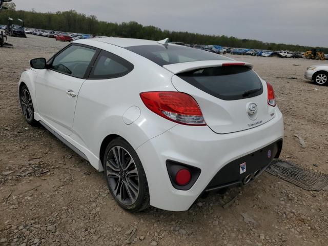 Photo 1 VIN: KMHTC6AE6GU303722 - HYUNDAI VELOSTER T 