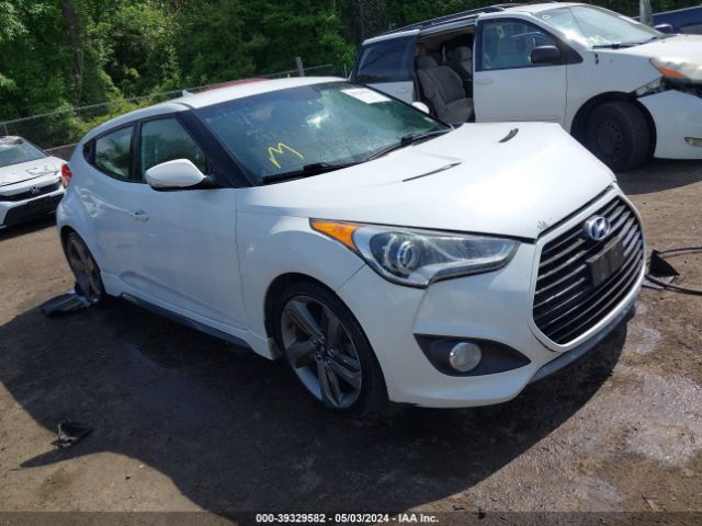 Photo 0 VIN: KMHTC6AE7DU143930 - HYUNDAI VELOSTER 