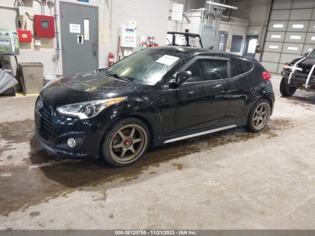 Photo 1 VIN: KMHTC6AE7DU145886 - HYUNDAI VELOSTER 