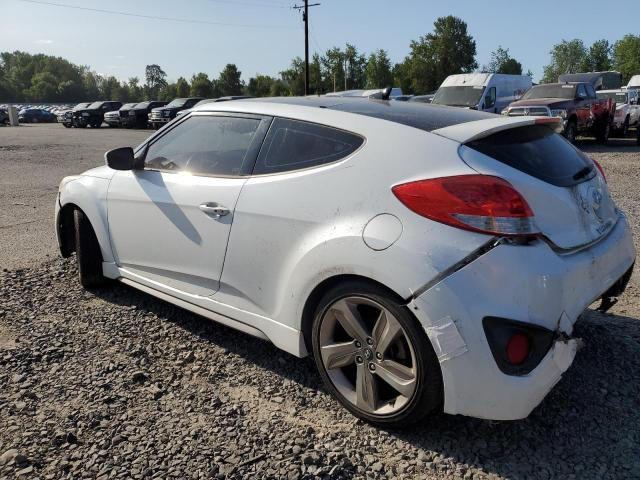 Photo 1 VIN: KMHTC6AE9DU116700 - HYUNDAI VELOSTER 