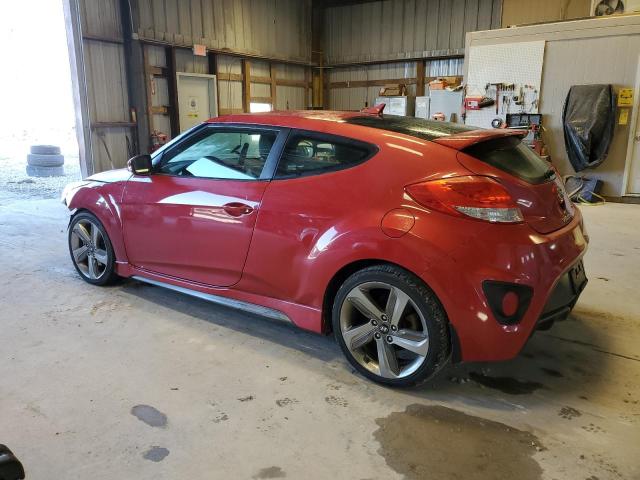 Photo 1 VIN: KMHTC6AE9DU162494 - HYUNDAI VELOSTER 