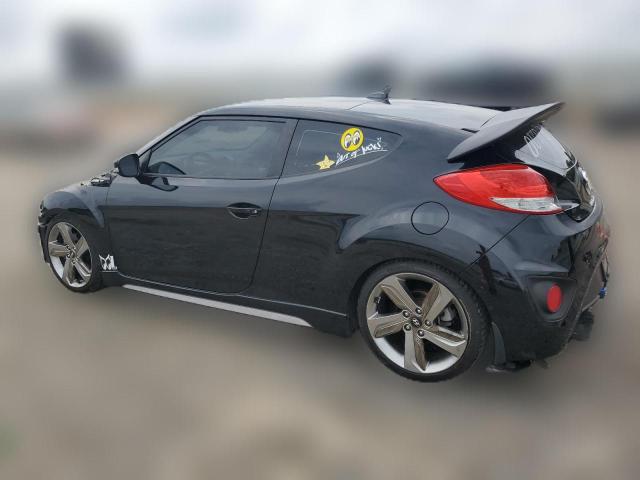 Photo 1 VIN: KMHTC6AE9DU163113 - HYUNDAI VELOSTER 