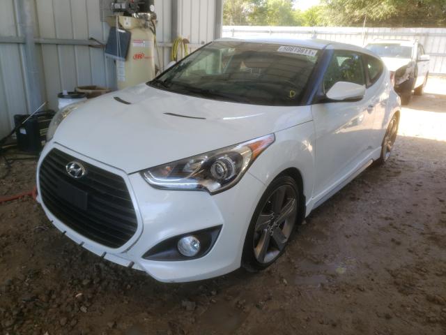 Photo 1 VIN: KMHTC6AE9DU172586 - HYUNDAI VELOSTER T 