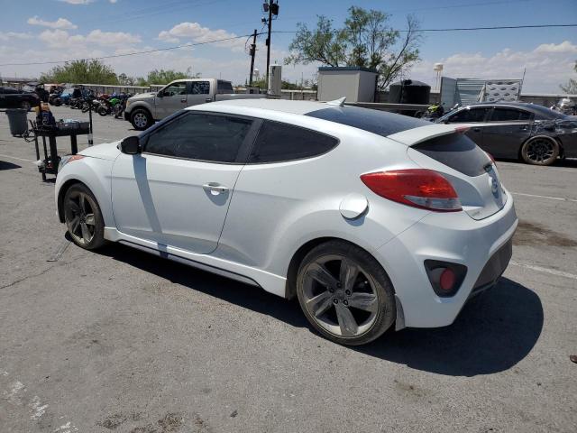 Photo 1 VIN: KMHTC6AEXFU244107 - HYUNDAI VELOSTER T 